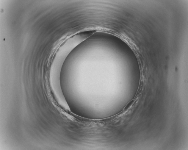 X0000087550193200705112130