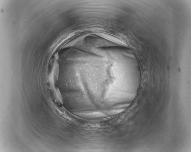 X0000087550194200705112130