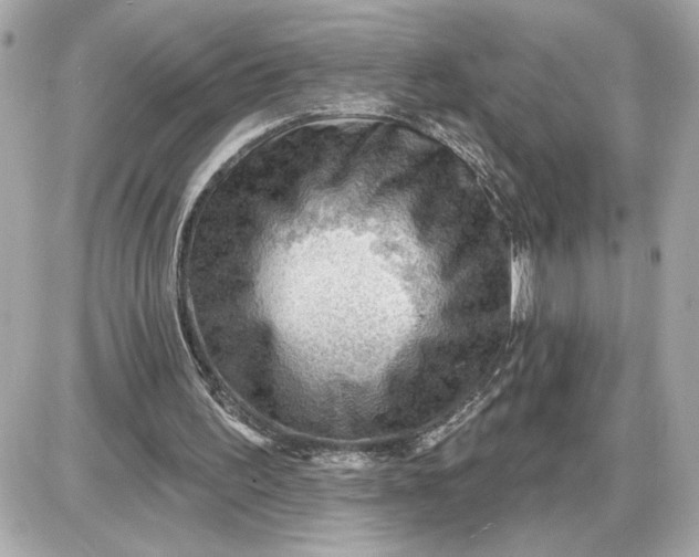 X0000087550195200705112130