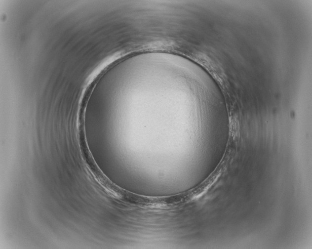 X0000087550196200705112130