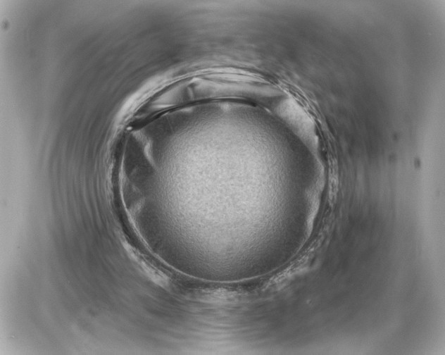 X0000087550197200705112130