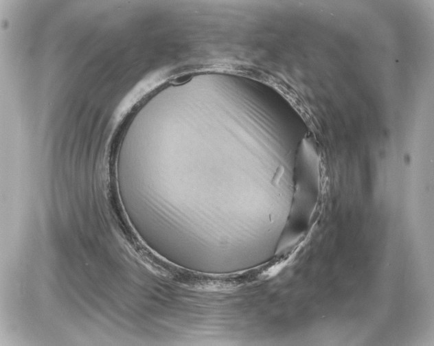 X0000087550198200705112130