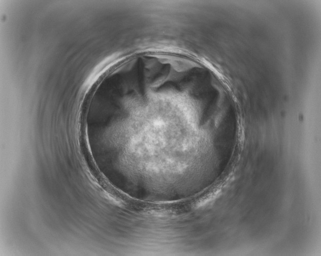 X0000087550199200705112130