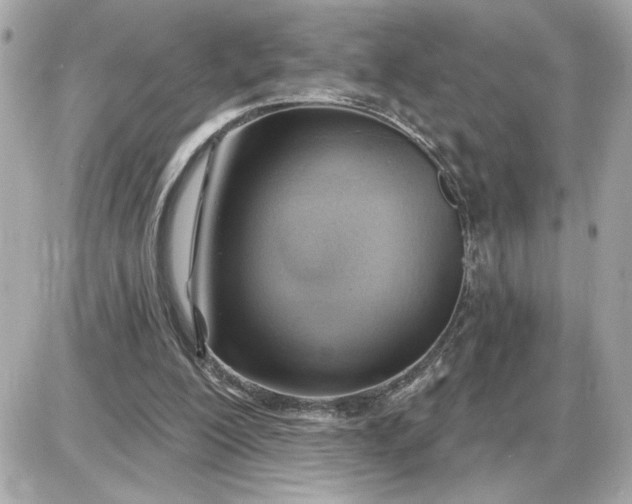 X0000087550200200705112130