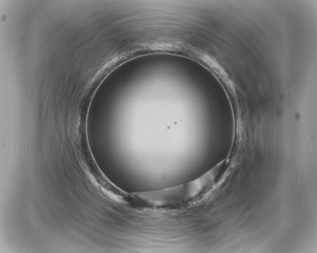 X0000087550201200705112130