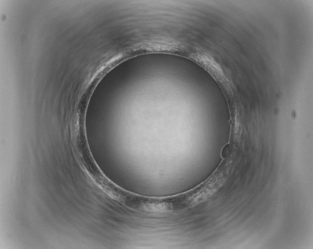 X0000087550202200705112130