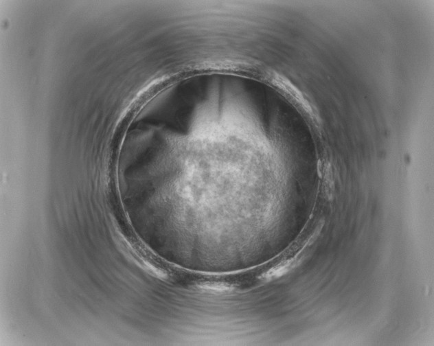 X0000087550203200705112130