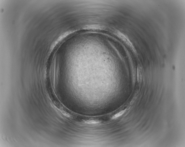 X0000087550204200705112130