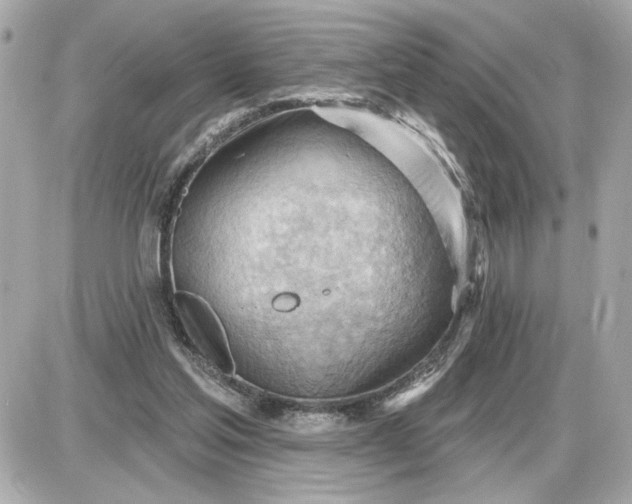 X0000087550205200705112130