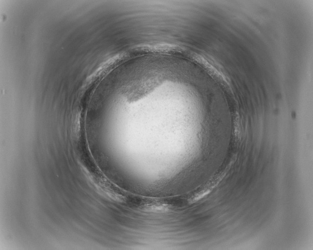 X0000087550206200705112130