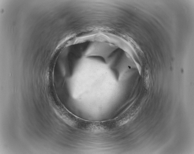 X0000087550207200705112130