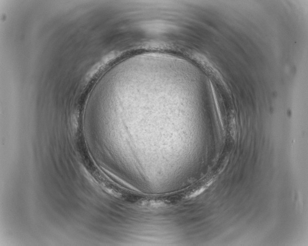 X0000087550208200705112130