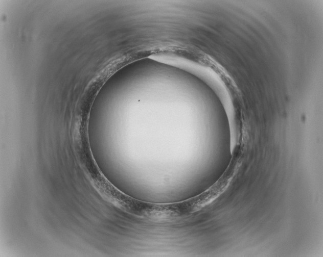 X0000087550209200705112130