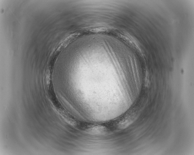 X0000087550210200705112130