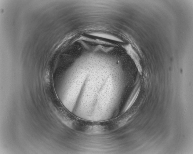 X0000087550212200705112129