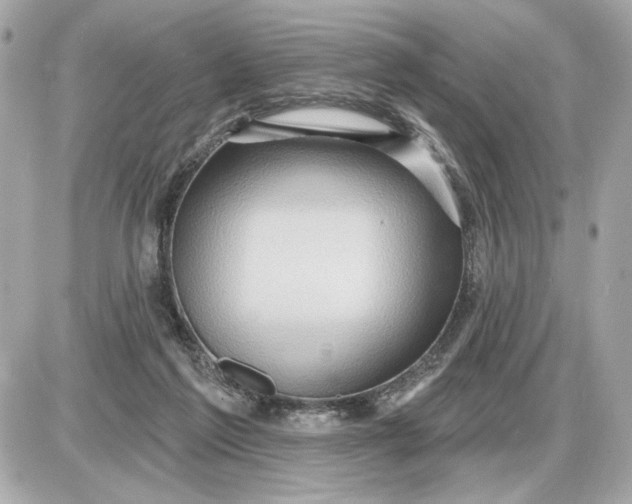 X0000087550213200705112129