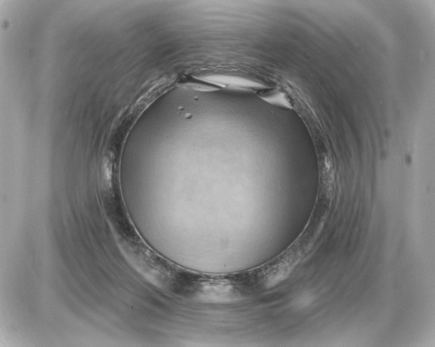 X0000087550214200705112129