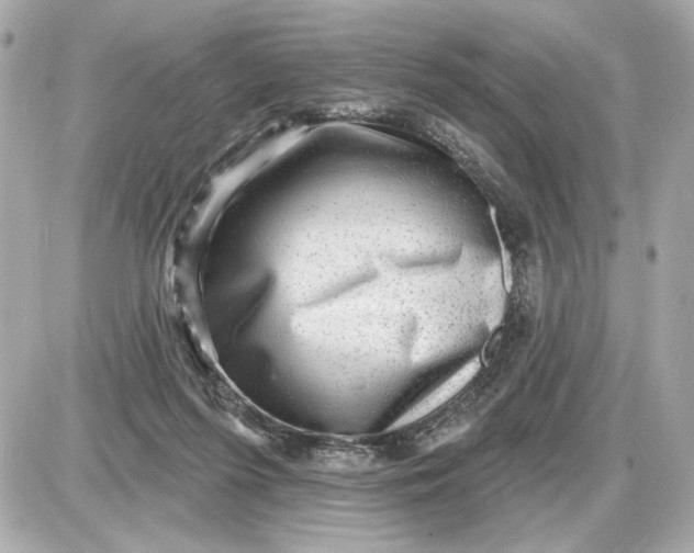 X0000087550215200705112129