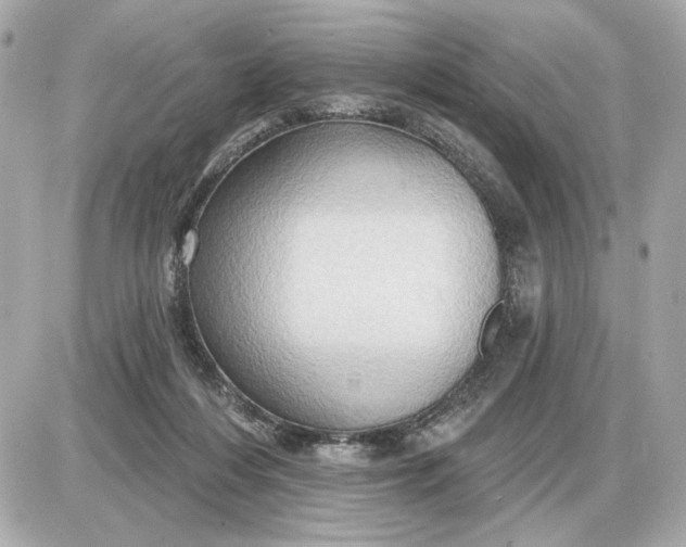 X0000087550216200705112129