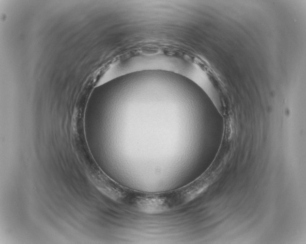 X0000087550217200705112129