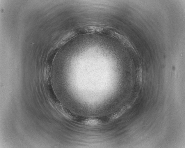 X0000087550218200705112129