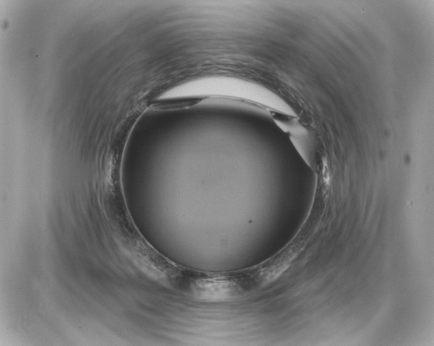 X0000087550219200705112129