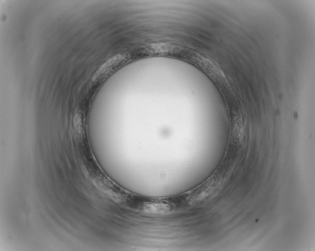 X0000087550220200705112129