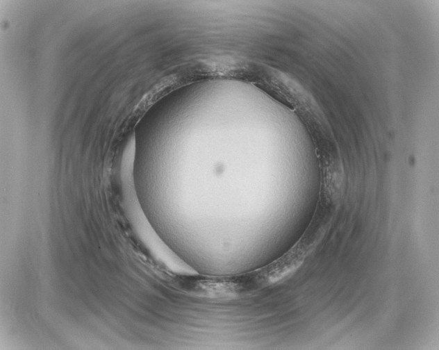 X0000087550221200705112129