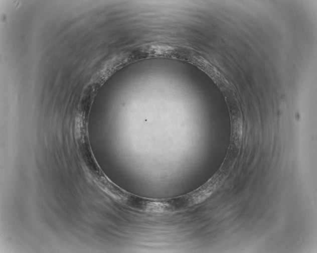 X0000087550222200705112129