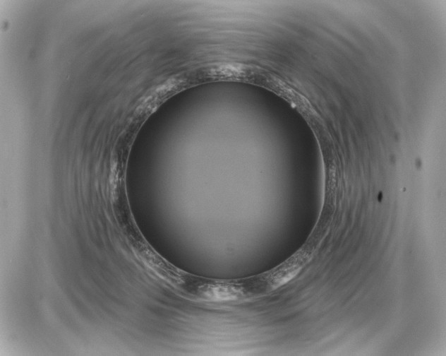 X0000087550223200705112129