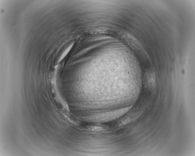 X0000087550224200705112129