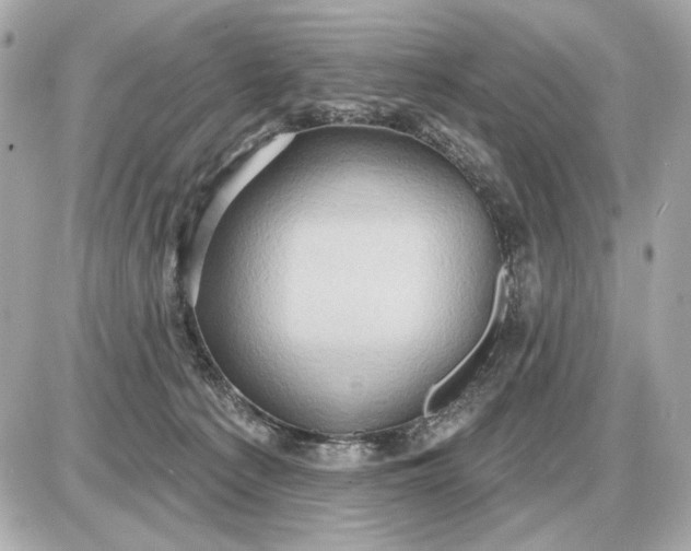 X0000087550225200705112129