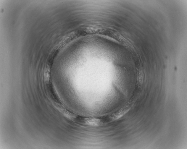 X0000087550226200705112129