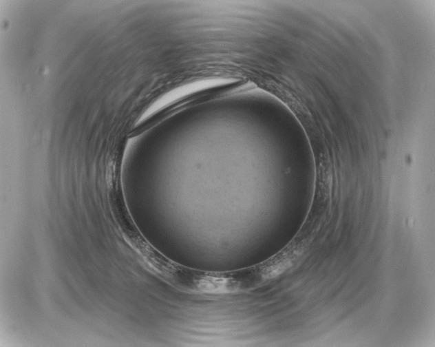 X0000087550227200705112129