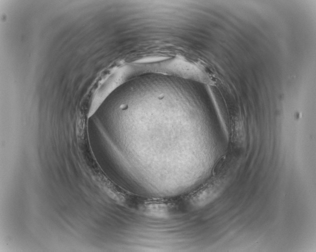 X0000087550228200705112129