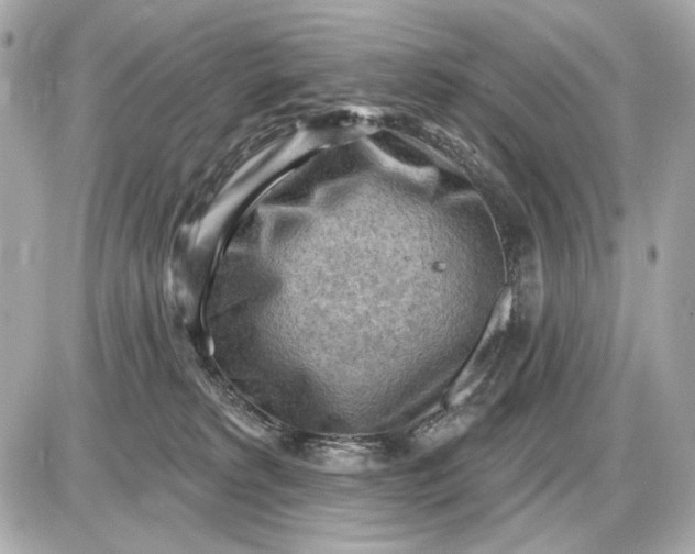 X0000087550229200705112129