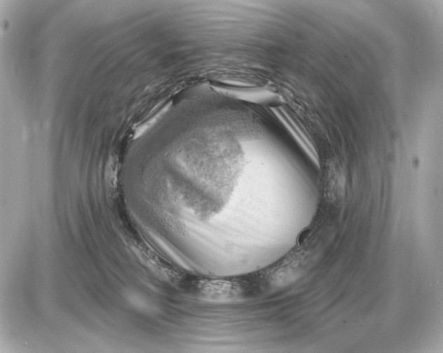 X0000087550230200705112129