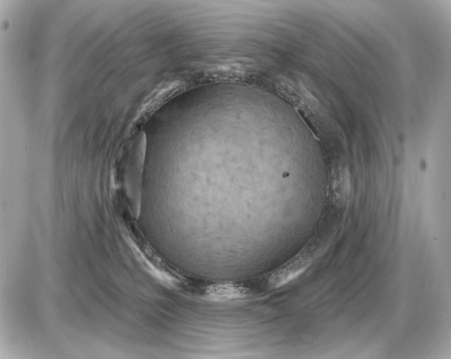 X0000087550231200705112129