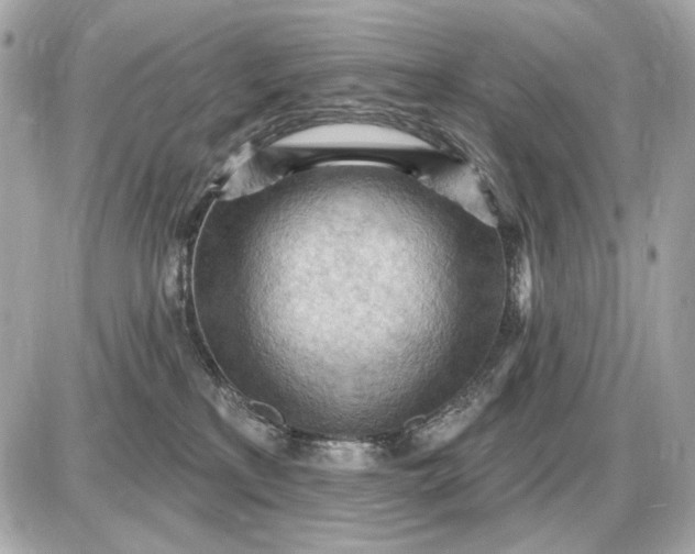 X0000087550233200705112129