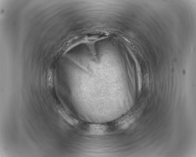 X0000087550234200705112129