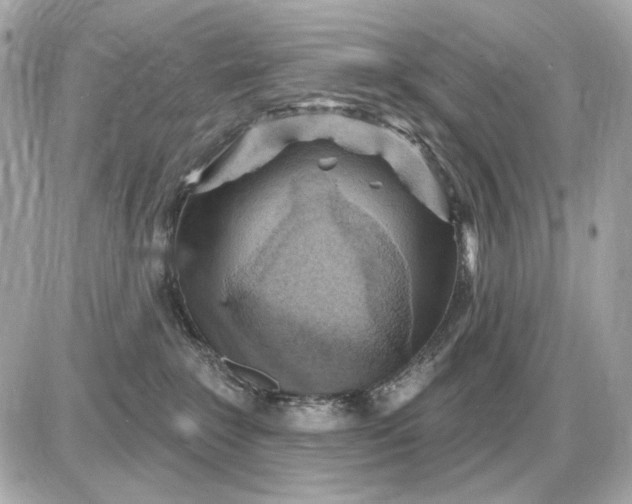 X0000087550235200705112129