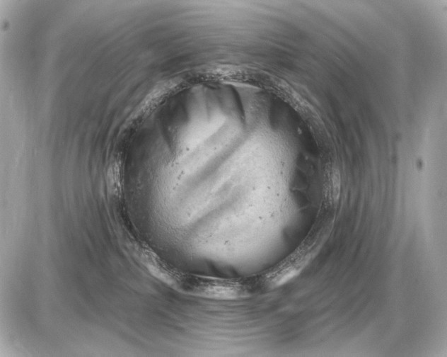 X0000087550236200705112129