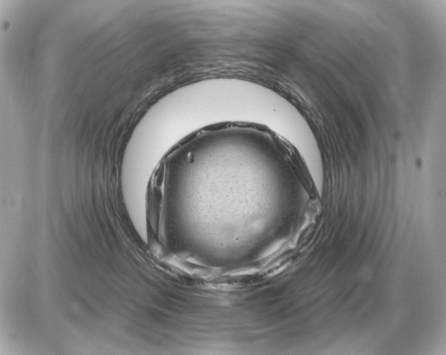 X0000087550237200705112129