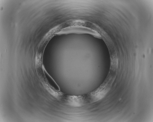 X0000087550239200705112129