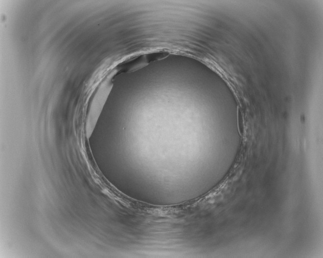 X0000087550241200705112128