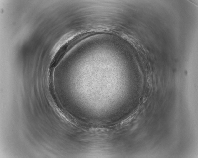 X0000087550242200705112128