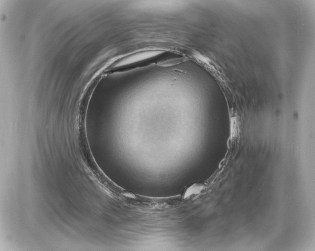 X0000087550243200705112128