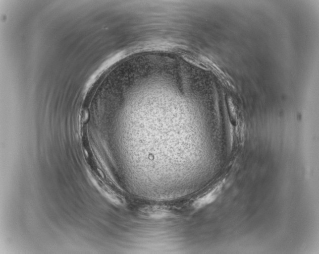 X0000087550244200705112128