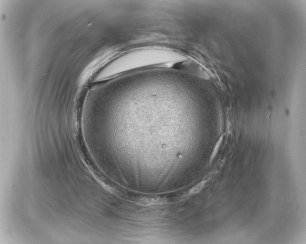 X0000087550245200705112128