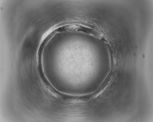 X0000087550246200705112128